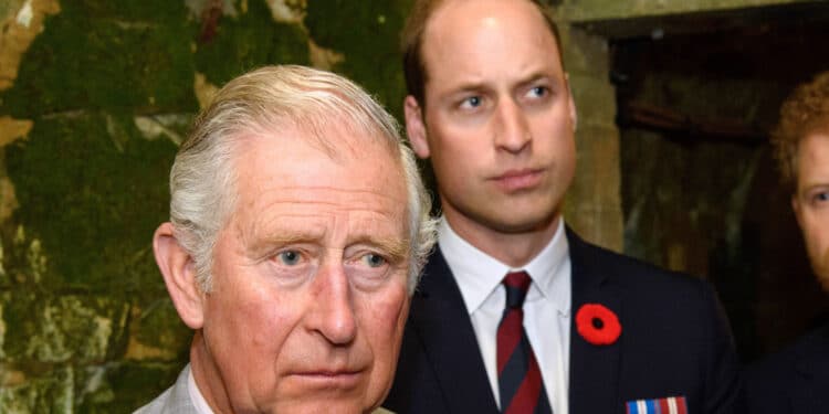 Instance When King Charles Can Delegate Power After Sickness