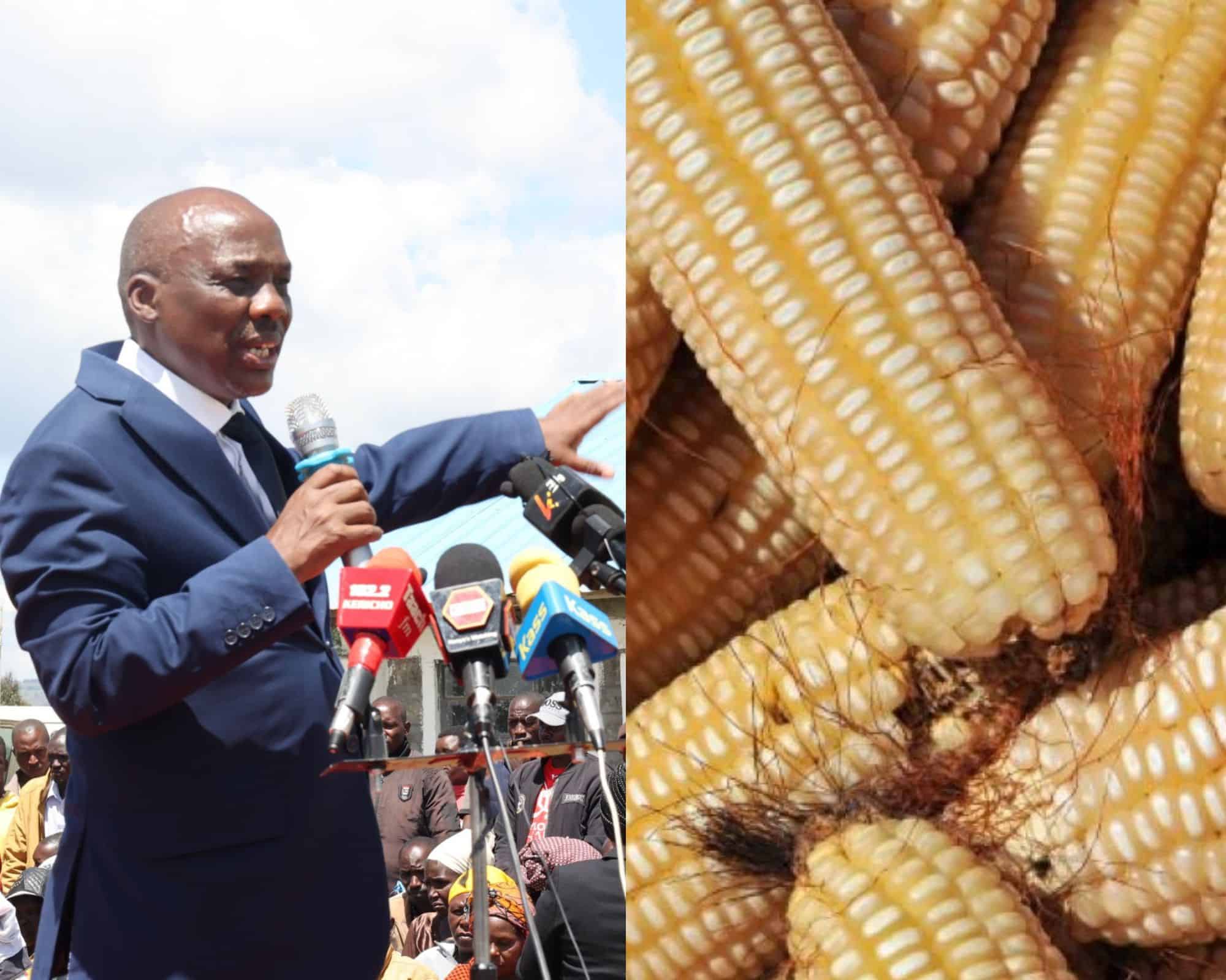 Agriculture + Seeds