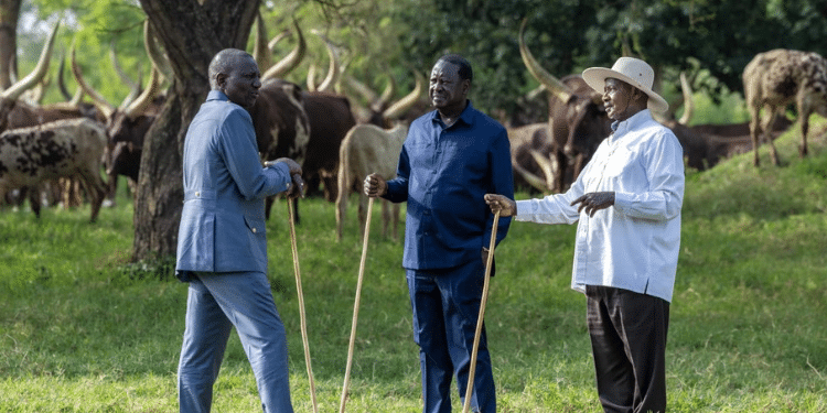 From left, Kenya's President William Ruto, Kenya's Opposition leader Raila Odinga and Uganda's President Yoweri Museveni. PHOTO/ PCS.