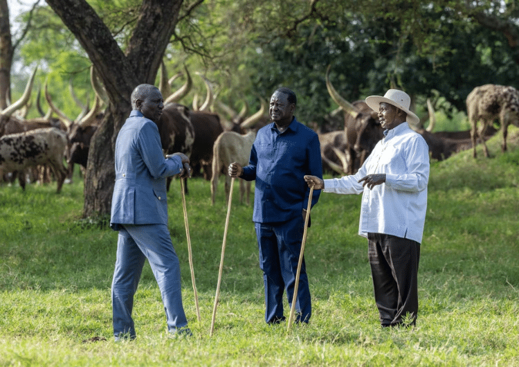 From left, Kenya's President William Ruto, Kenya's Opposition leader Raila Odinga and Uganda's President Yoweri Museveni. PHOTO/ PCS.