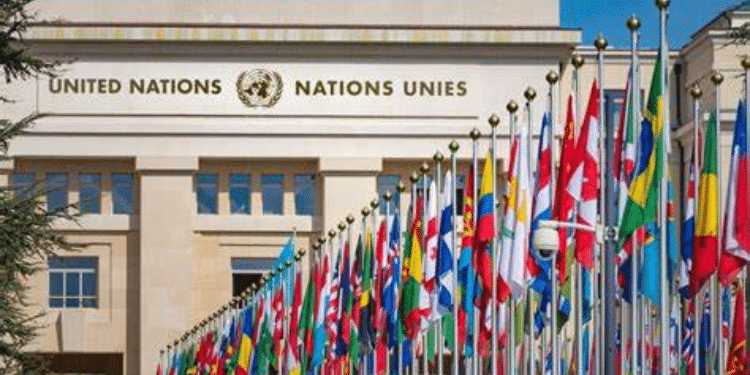 United Nations (UN) offices. PHOTO/Courtesy.