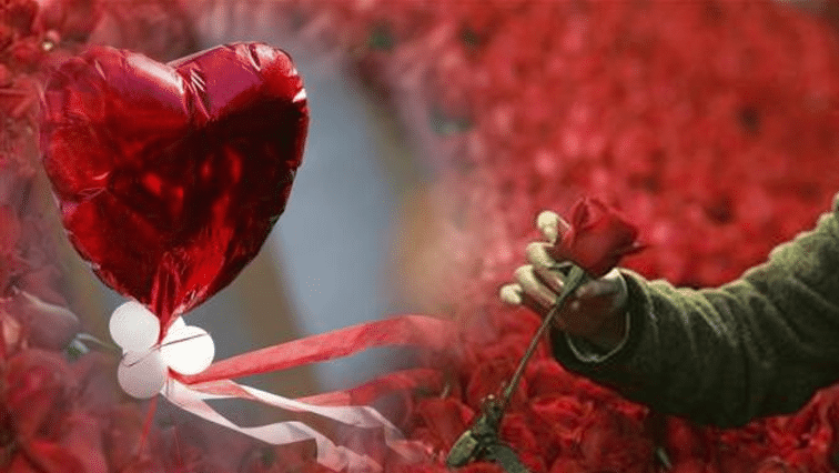 A photo of a flower gifted during Valentine's Day.