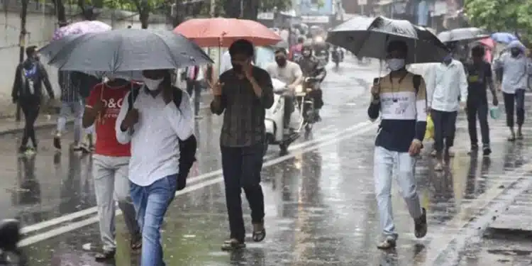Rainfall