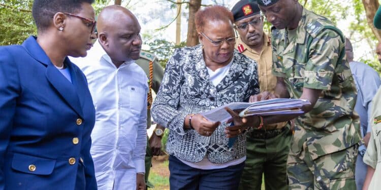 Lands CS Alice Wahome