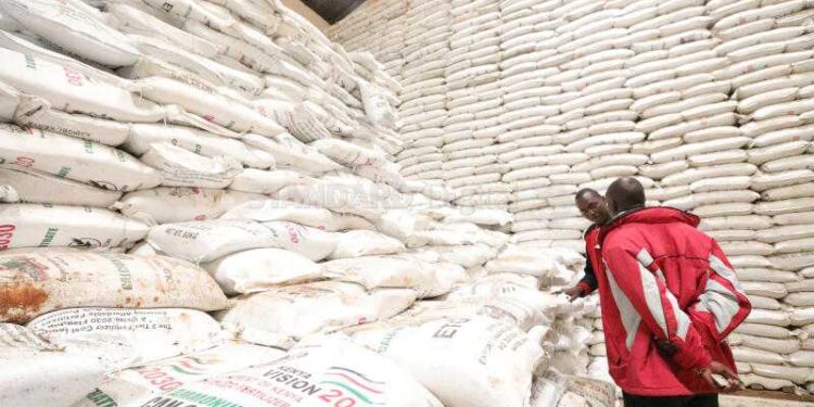 Bags Of Fertilizer At A Store.photo/Courtesy