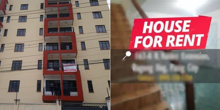 House to rent