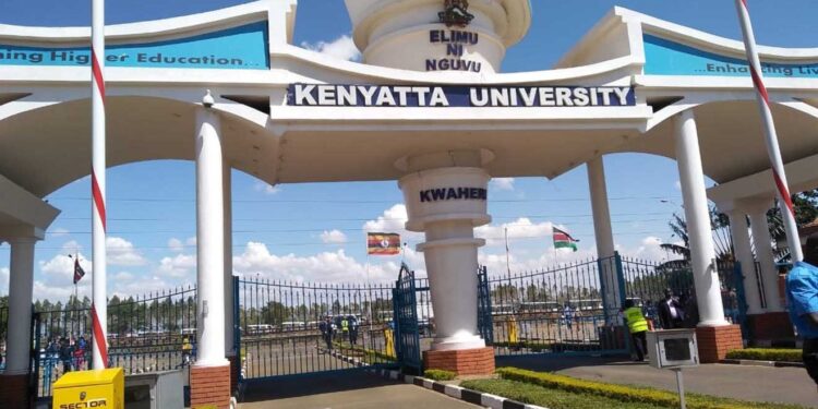 Kenyatta University Crash: Mother Shares Last Call with Son
