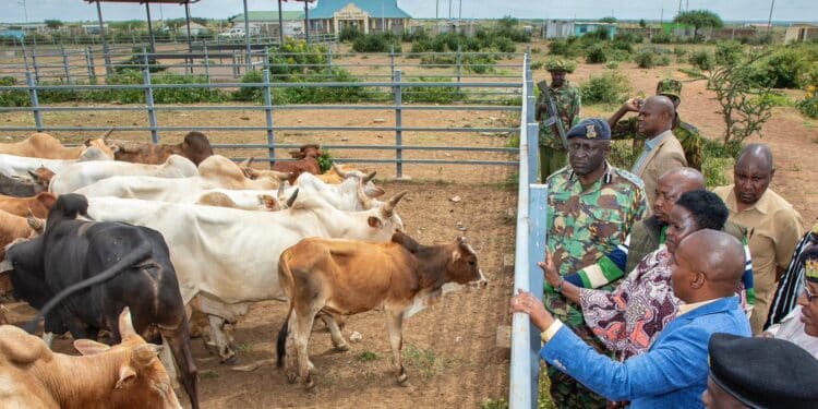 Livestock Bill, 2024: National Assembly Drops Consideration