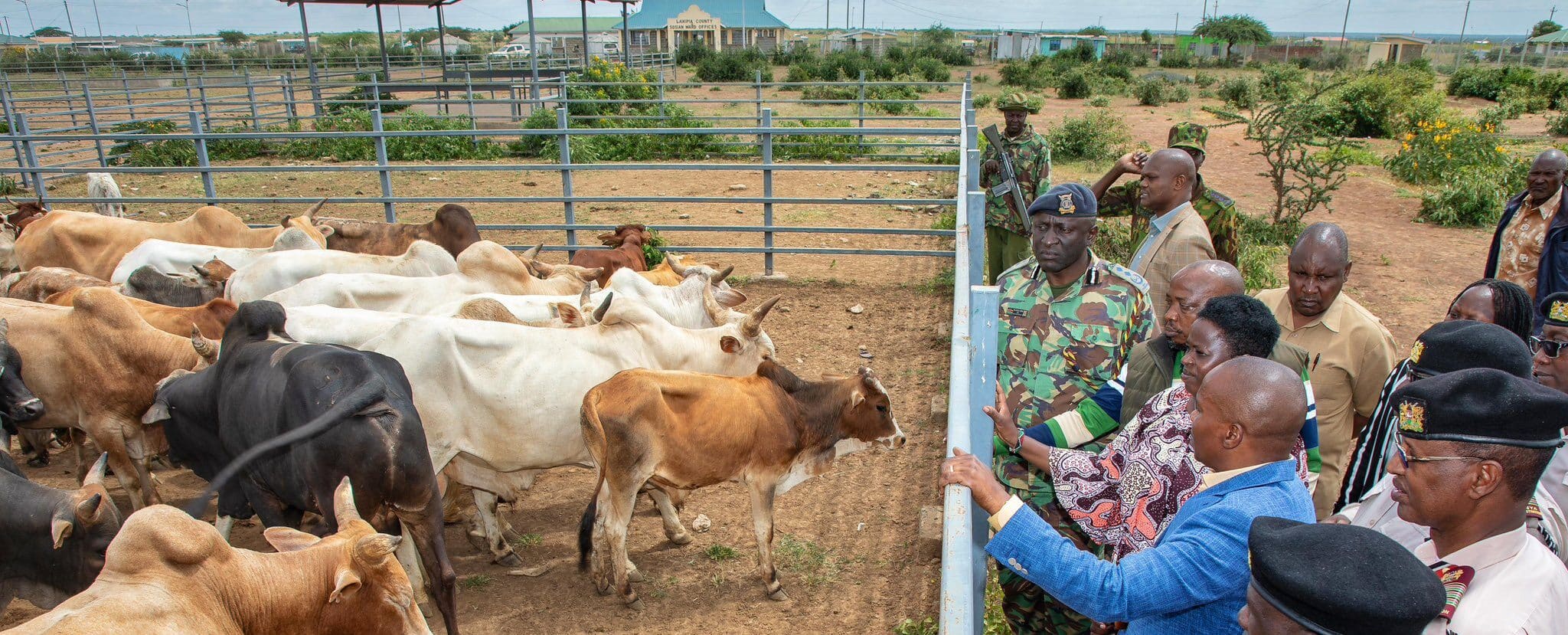 Livestock Bill, 2024: National Assembly Drops Consideration