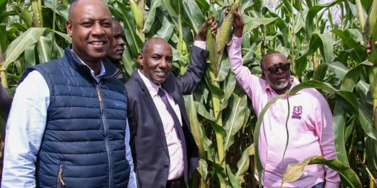 DCI Seize 700 Bags of Fertilizer Mixed with Sand in Kakamega