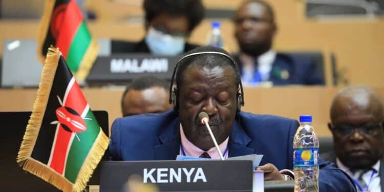 74 Kenyans Freed After Delicate Negotiations