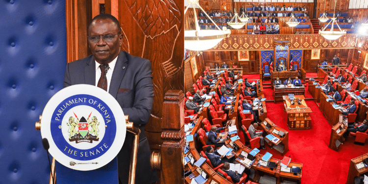 A photo collage of Kisii Deputy Governor Dr Robert Monda and Senate session on March 13, 2024. PHOTO/Parliament.