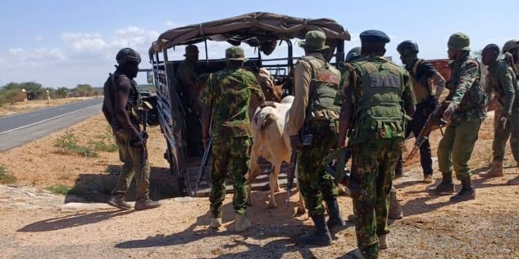 Police Engaged in Gun Fire with Cattle Rustlers 