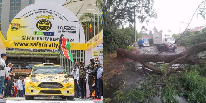World Rally Championship