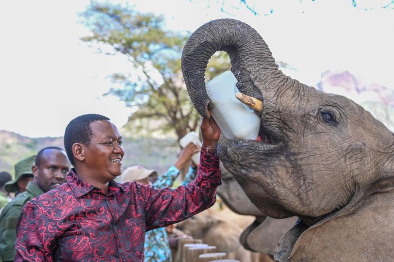 KWS reveals leasing of national parks plans