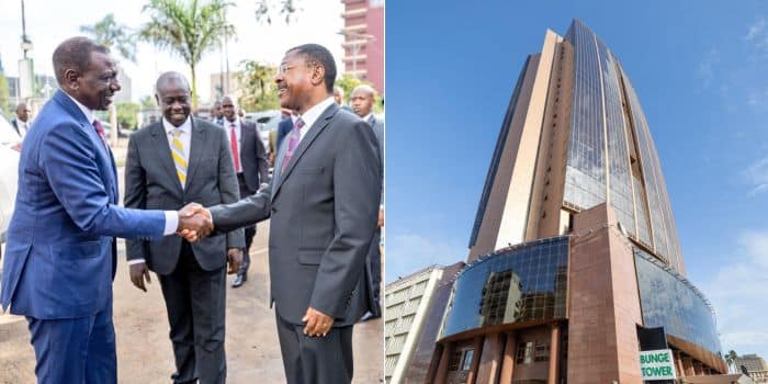 Bunge towers