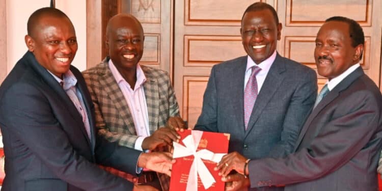 NADCO Report + IEBC