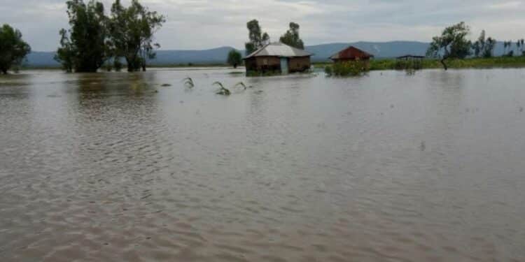 TARDA + Flood