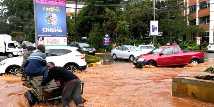 Flood