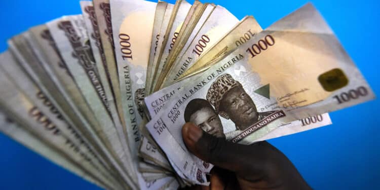 Naira banknotes. Photo/Courtesy