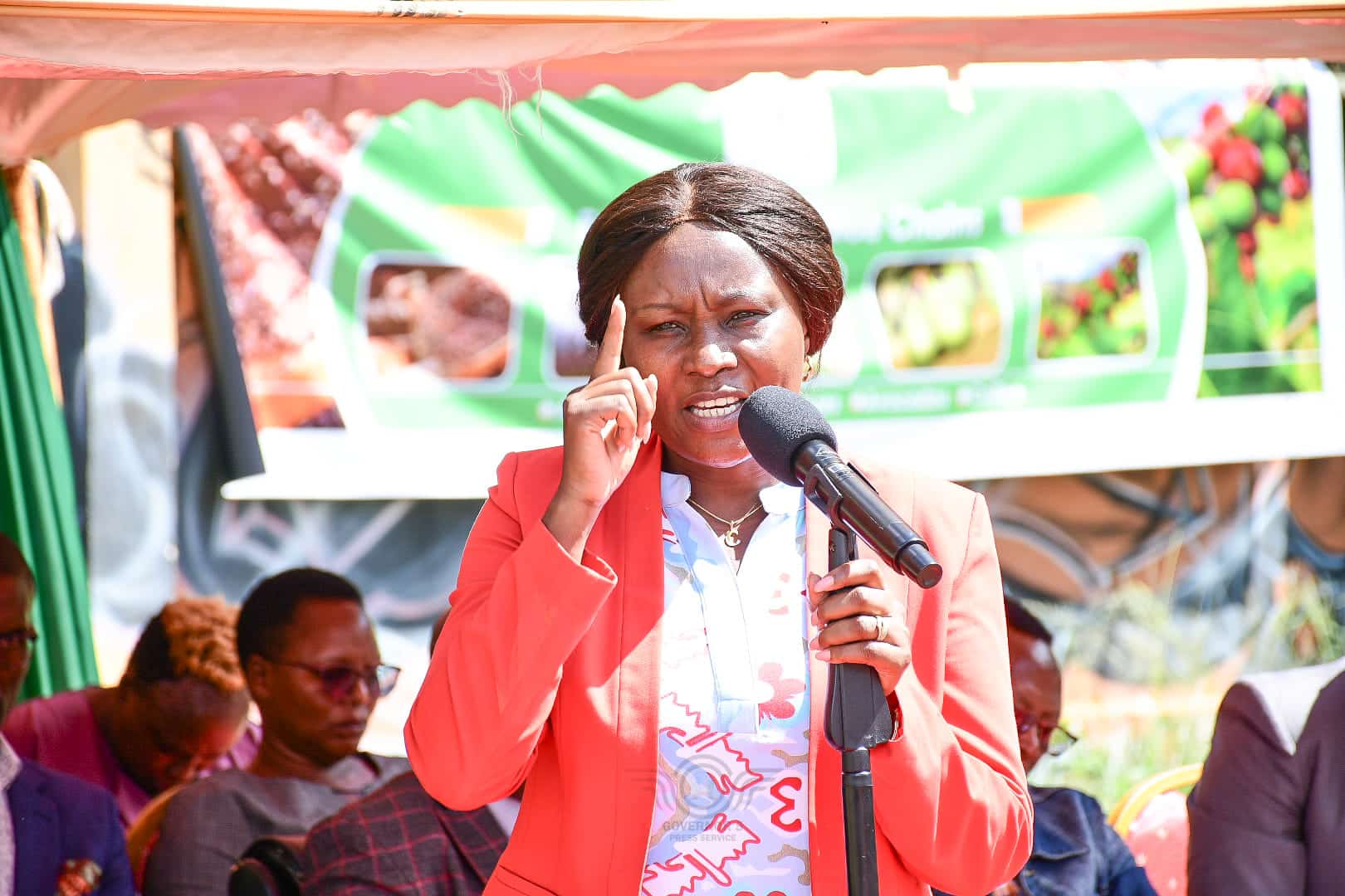 Muguka: Embu County Prepares Lawsuit to Safeguard Trade