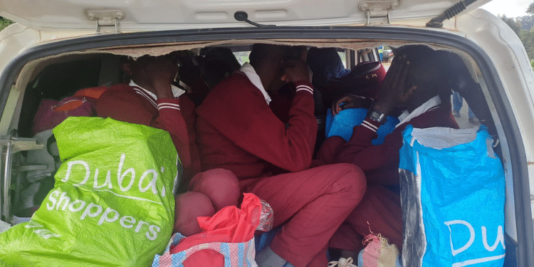 A photo of Students in a vehicle boot. PHOTO/ NTSA