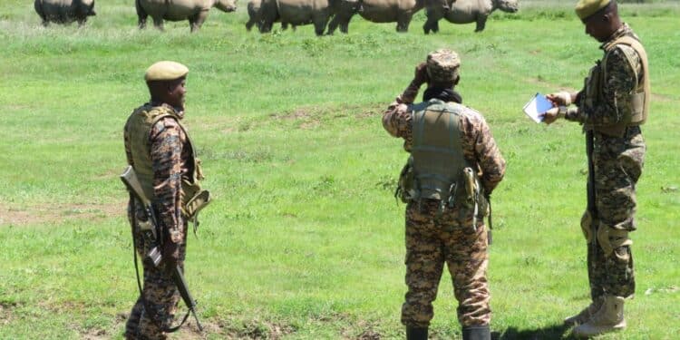 KWS Rangers on duty, PHOTO/KWS