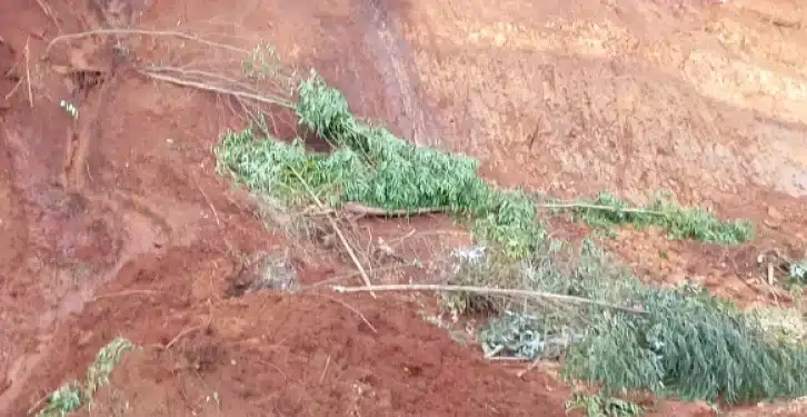 Photos Of A Past Landslide Incident. Photo/Rms.