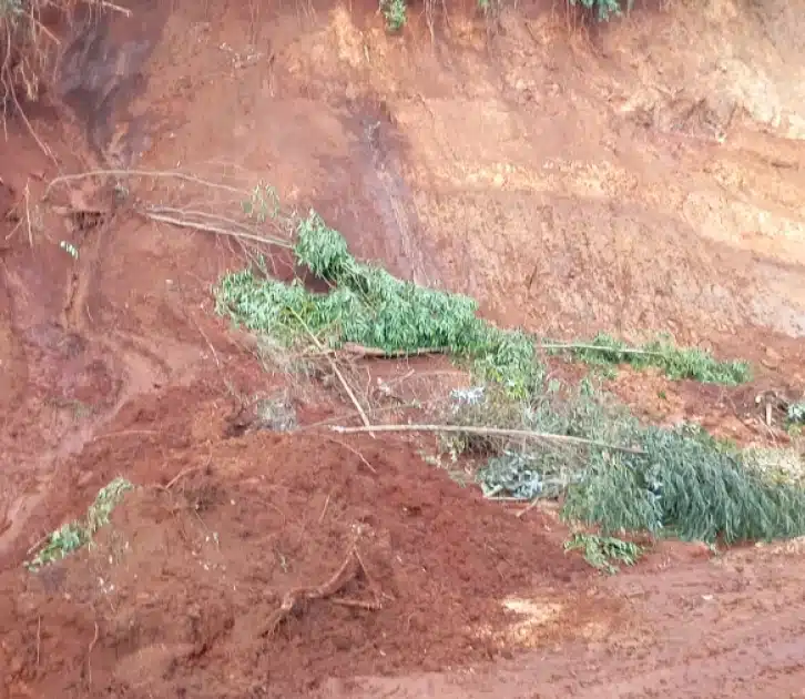 Photos of a past landslide incident. PHOTO/RMS.