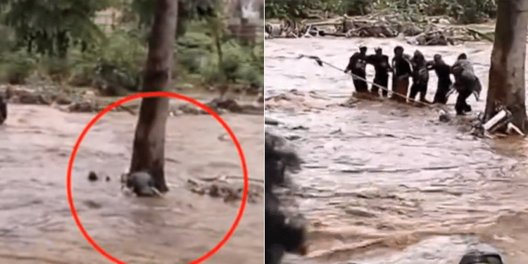A photo collage of how the six men rescued the girl from the raging floods. PHOTO/Courtesy.