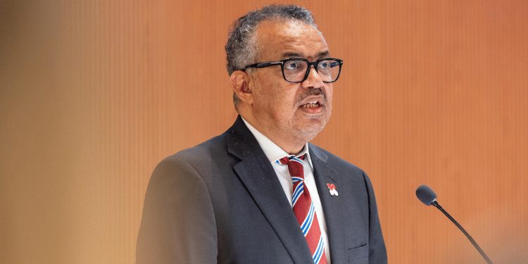 Who Opens Lucrative Opportunities For Kenyan Service Providers