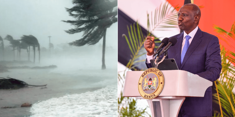 Ruto storm