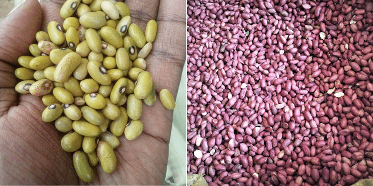 A collage of cereals in display at a market.
