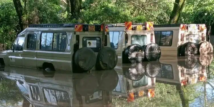 No Tourist Death Reported Says Mara Managers
