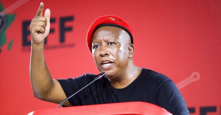 Economic Freedom Fighters (EFF) leader Julius Malema