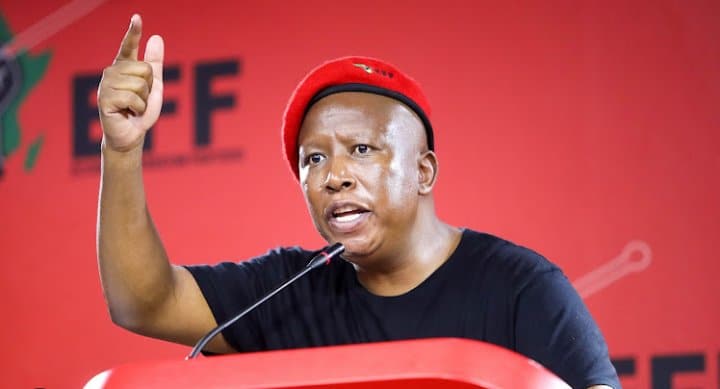 Economic Freedom Fighters (EFF) leader Julius Malema