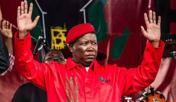 Malema Eyes Alliance After ANC Party's Historic Loss