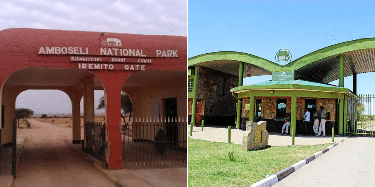 Amboseli National Park. PHOTO/ Courtesy