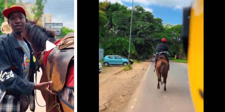 A side-to-side photo of Kenyan man holding a horse (left) and screenshot of trending man riding a horse. Photo/Courtesy