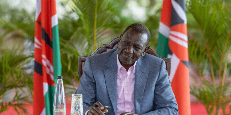 Snap Election: Is this an Option to Send Ruto Home Early?