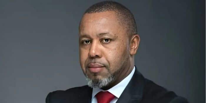 Vice President