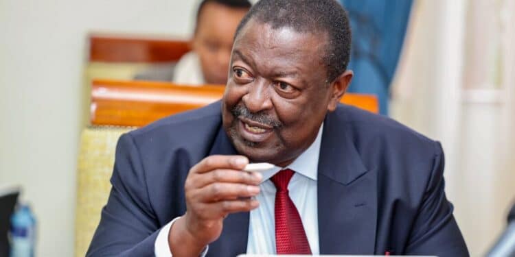 Mudavadi