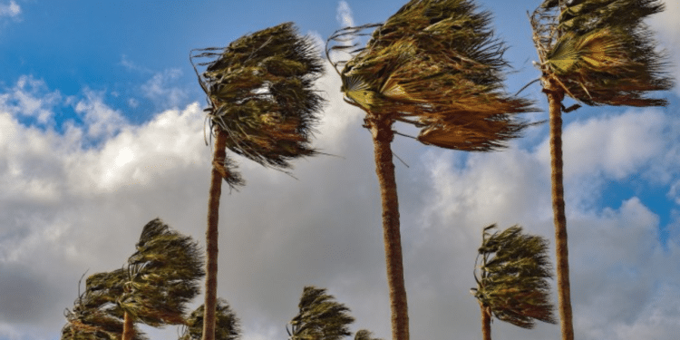 A windstorm. Photo/Courtesy