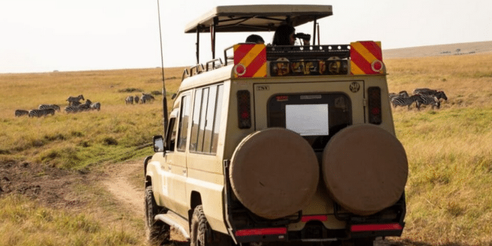 Landcruiser Accident