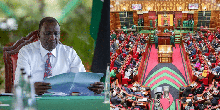 Nelson Havi Tells Gen Z to Blame MPs & Not President Ruto