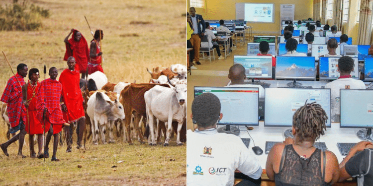 Side to side photo of Maasai youth tending to cattle and other Kenyan youth at an ICT Hub. Photo/Courtesy
