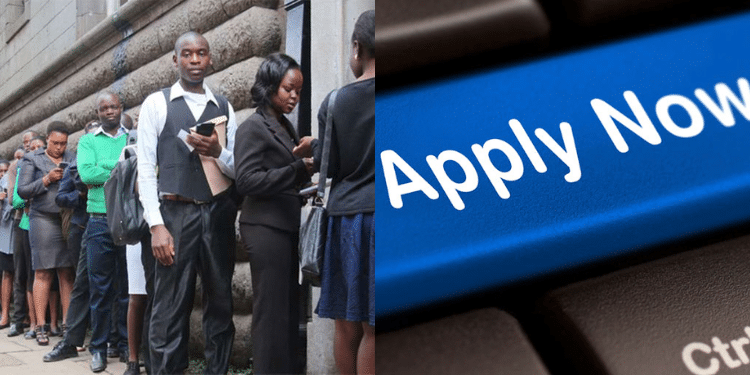 NITA Announces Vacancies for Facilitators: How to Apply