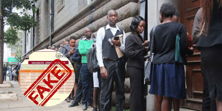 Job seekers lining up before an interview. PHOTO/Courtesy