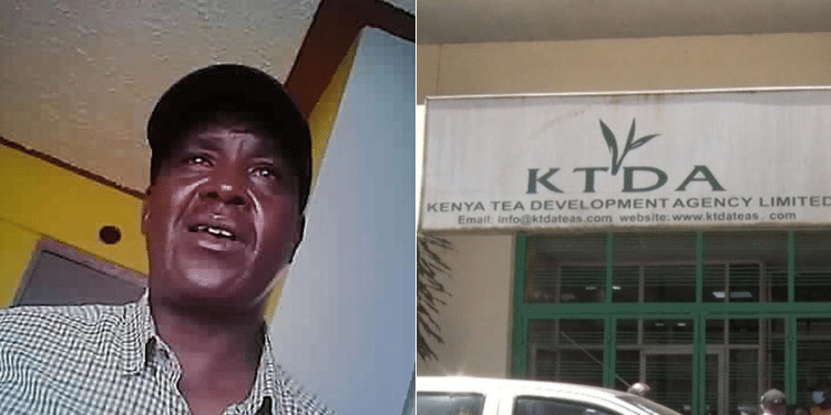 John Chebochok and an image of KTDA offices. PHOTO/ Courtesy