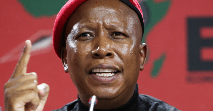 EFF leader Julius Malema. PHOTO/EFF